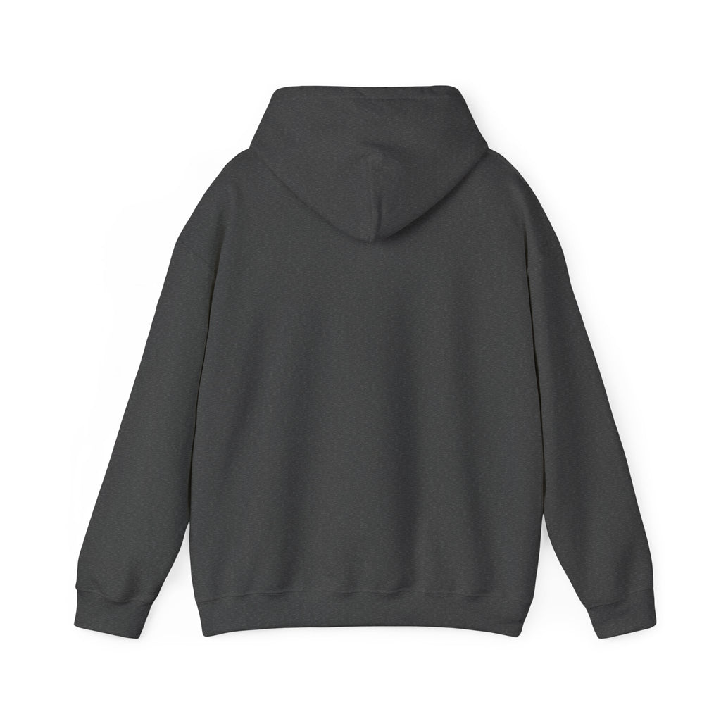 Hoodie Signe Astro & Groupe Sanguin